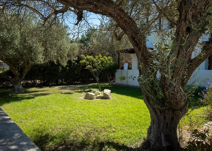 Triantafillas Αφάντου