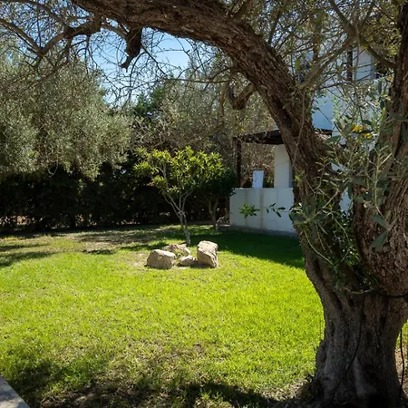 Triantafillas אפאנטו